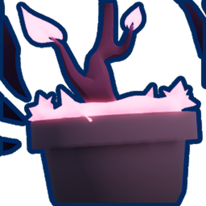 Sakura Sprout