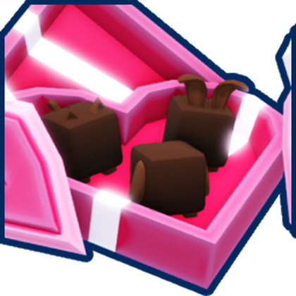 Chocolate Gift