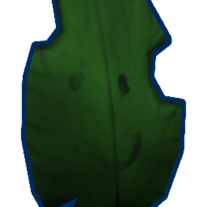 Shiny Random Leaf