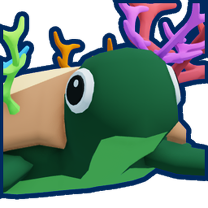 Coral Turtle