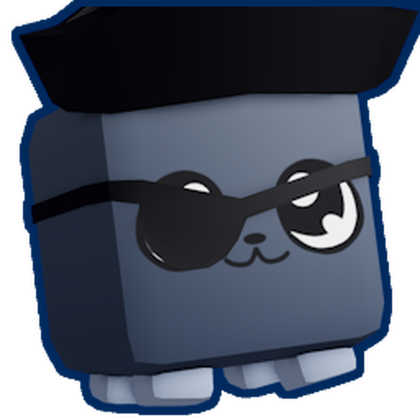 Shiny Pirate Kitty